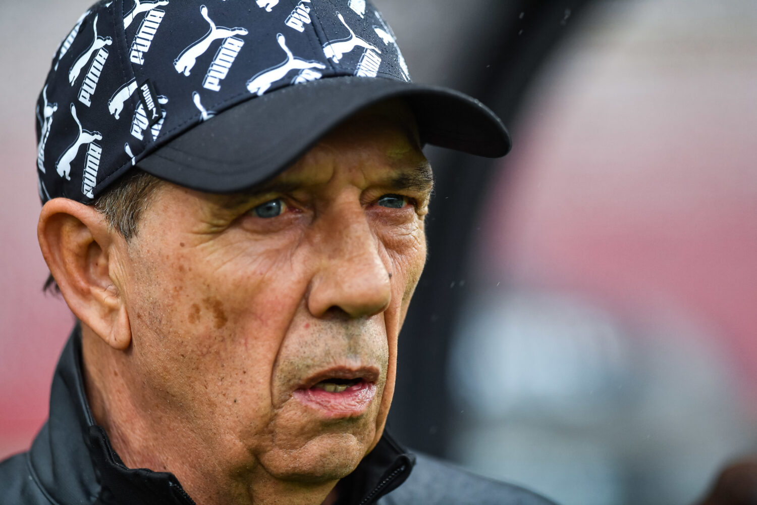 Ligue 1 : Gasset annonce des retours importants pour Montpellier