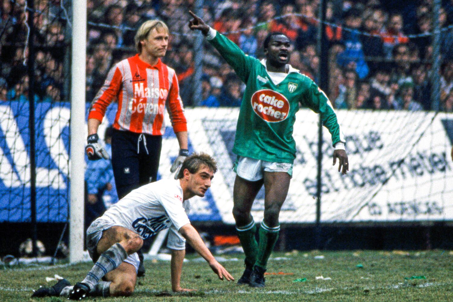 Quand l'ASSE trouve son Lion indomptable !