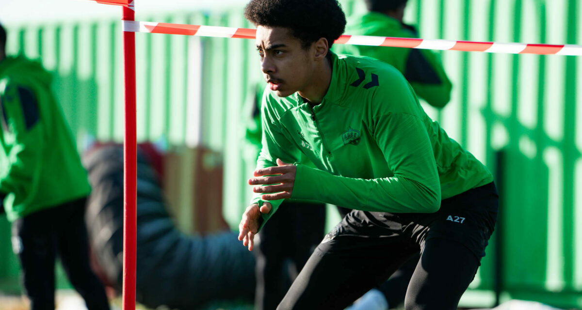 Formation : Horneland jette un pavé dans la mare ! - ASSE