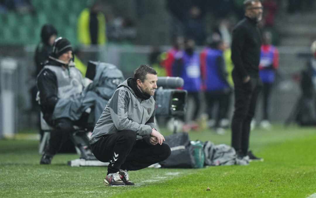 ASSE : De nouveaux renforts de poids pour Horneland !